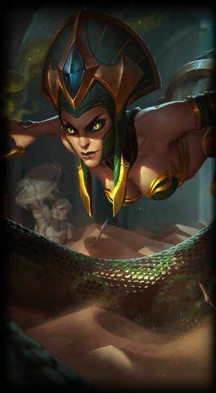 药材桔梗是什么样的桌面版客户端